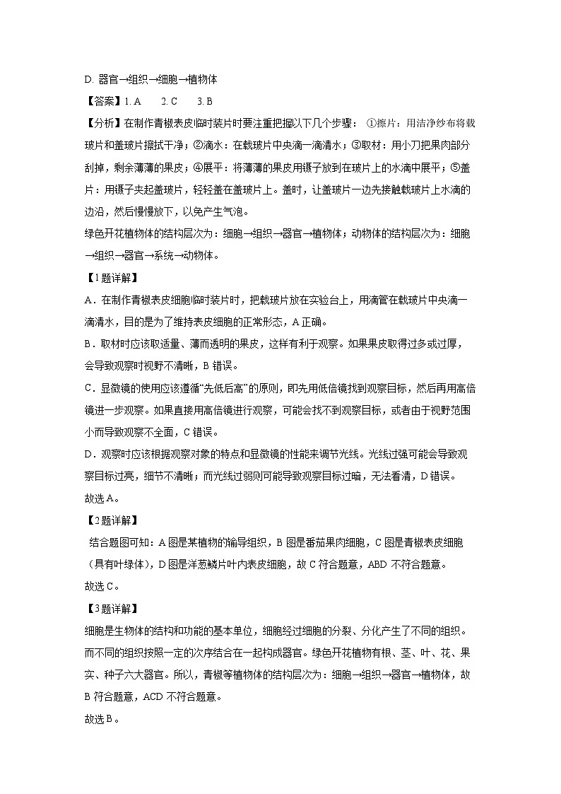 北京市丰台区2024-2025学年七年级(上)期末生物试卷（解析版）第2页