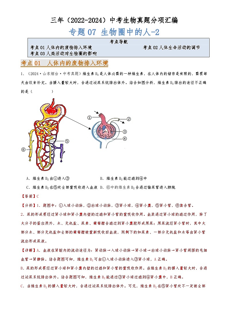 2022-2024中考生物真题分类汇编(全国通用)专题07 生物圈中的人（解析版）第1页
