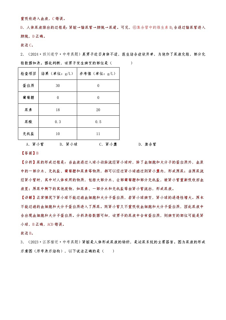 2022-2024中考生物真题分类汇编(全国通用)专题07 生物圈中的人（解析版）第2页