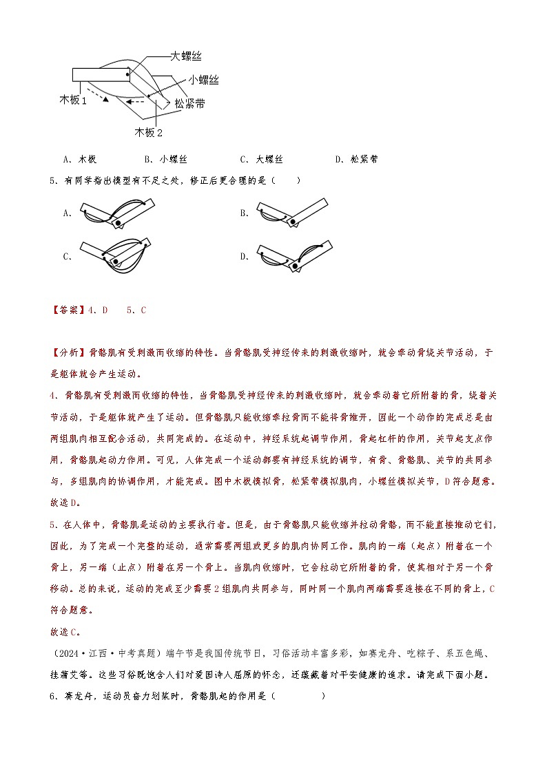 2022-2024中考生物真题分类汇编(全国通用)专题09 动物的运动和行为（解析版）第3页