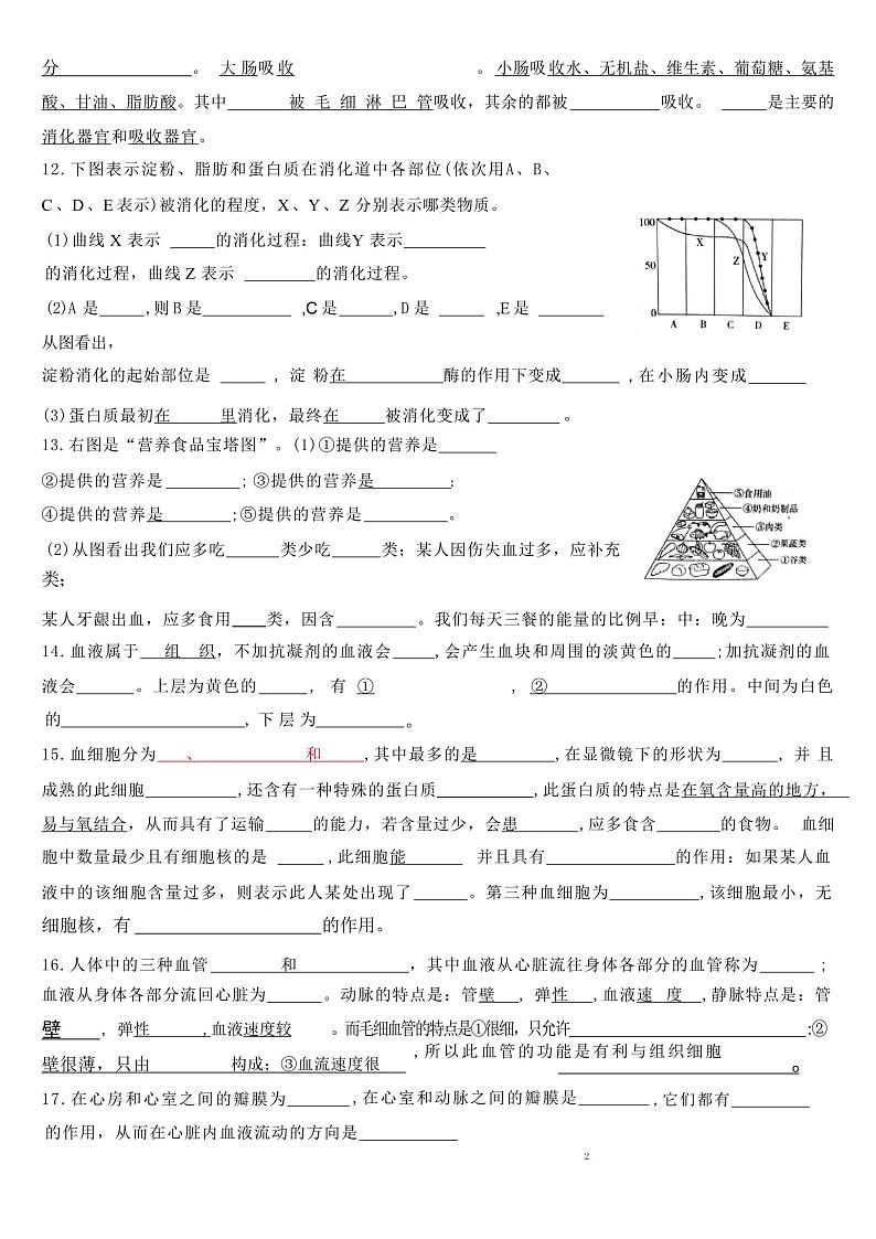7年级下册人教版生物期末复习知识点填空第2页