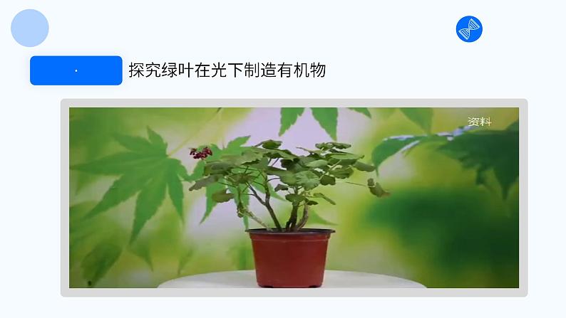 第二节 光合作用 课件第5页