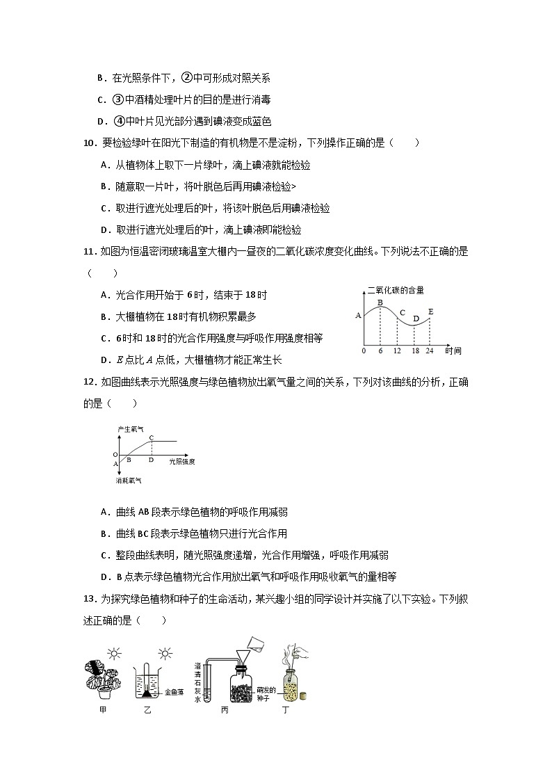 第二节 光合作用  练习第3页