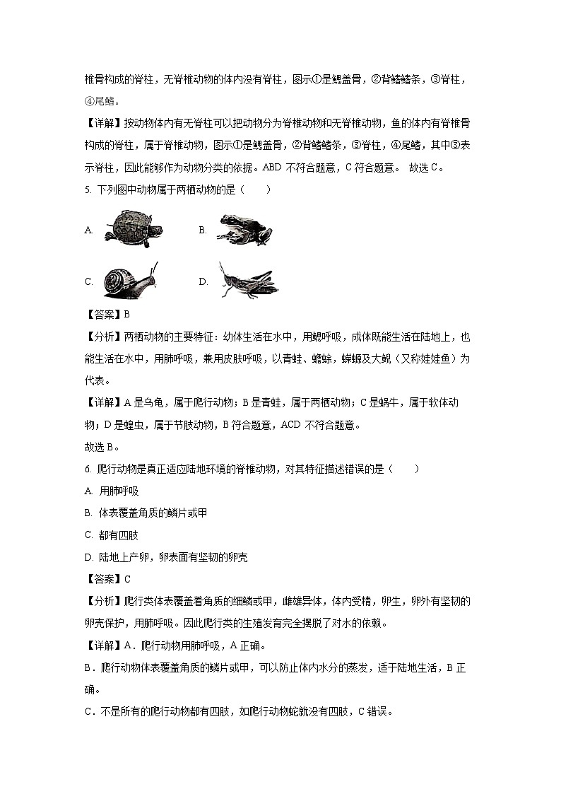 黑龙江省齐齐哈尔市昂昂溪区2024-2025学年八年级(上)期末生物试卷（解析版）第3页