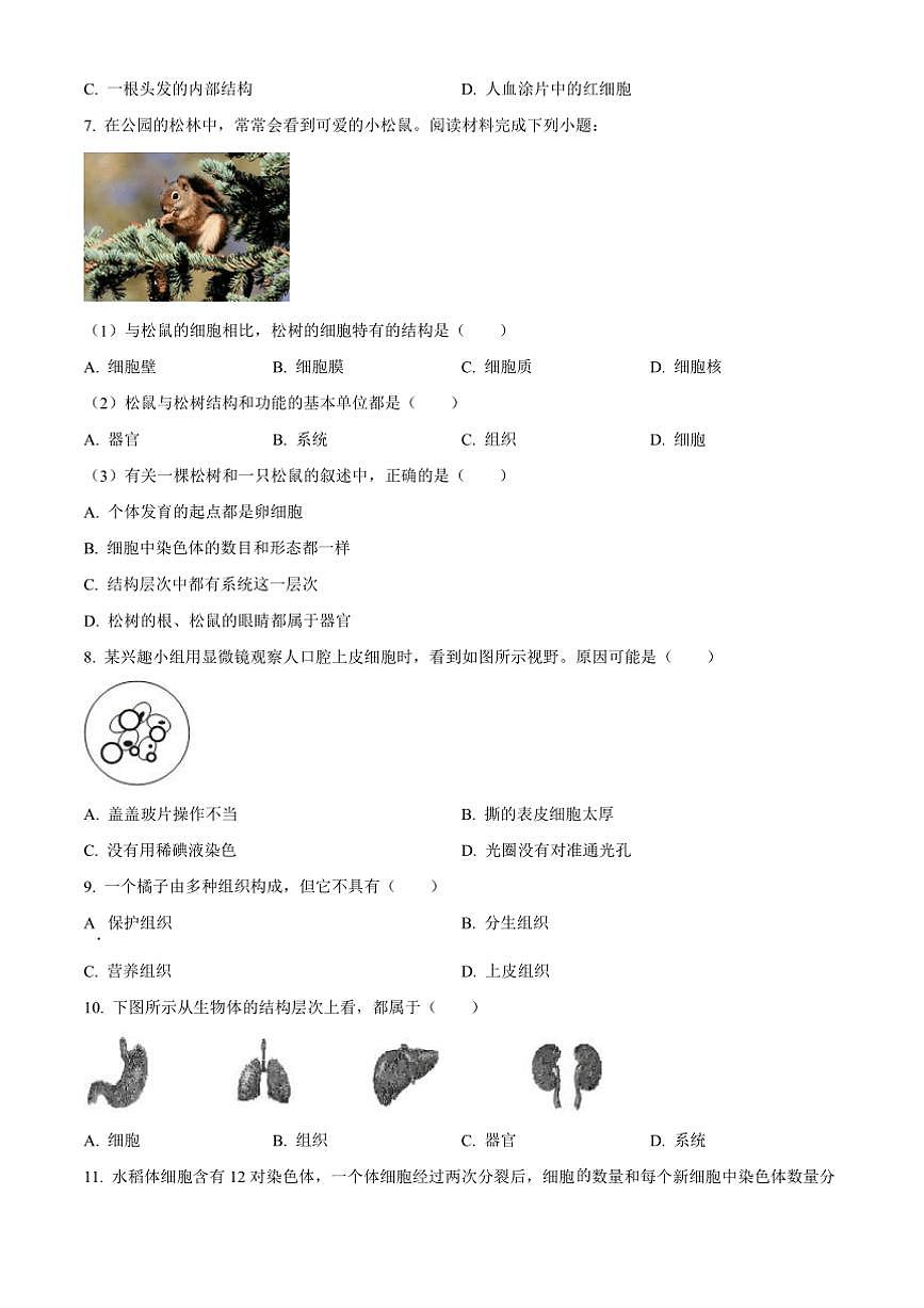 2024～2025学年福建省泉州市永春第一中学七年级上期中生物试卷(含答案)第2页