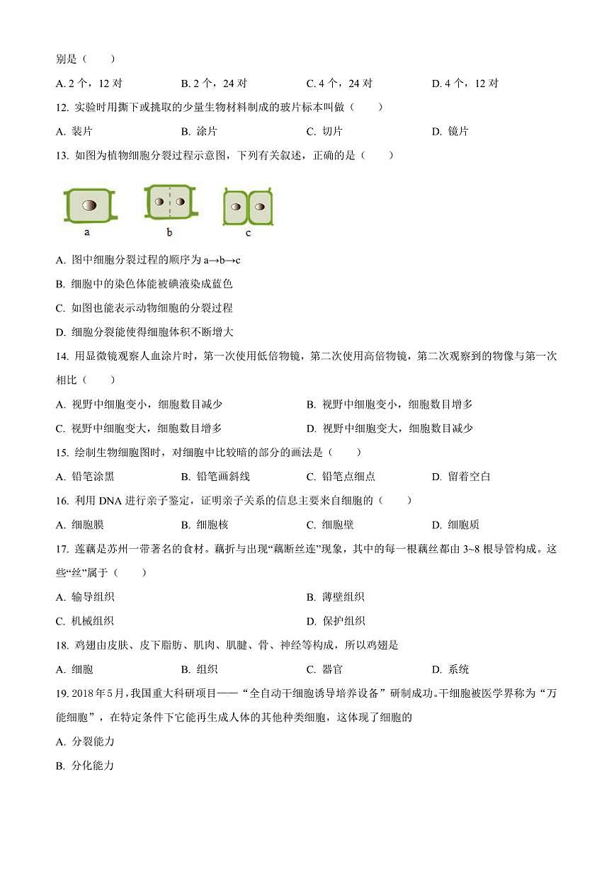 2024～2025学年福建省泉州市永春第一中学七年级上期中生物试卷(含答案)第3页