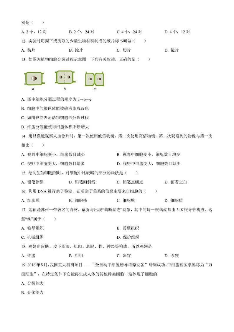2024～2025学年福建省泉州市永春第一中学七年级上期中生物试卷(含答案)第3页