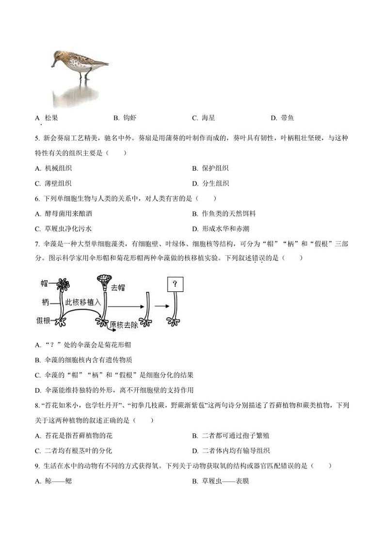 2024～2025学年广东省江门市蓬江区七年级上期末生物试卷(含答案)第2页