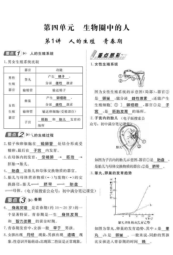 人教版生物七年级下册期末复习知识点背记手册第1页