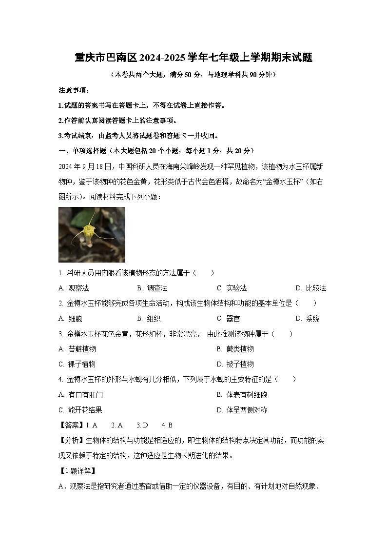 重庆市巴南区2024-2025学年七年级上学期期末生物试卷（解析版）第1页