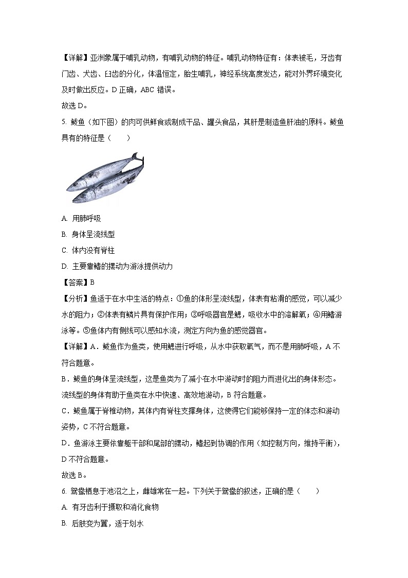 陕西省渭南市合阳县 2024-2025学年八年级(上)期末生物试卷（解析版）第3页