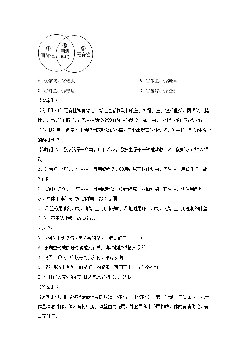 陕西省延安市富县2024-2025学年八年级(上)期末生物试卷（解析版）第3页