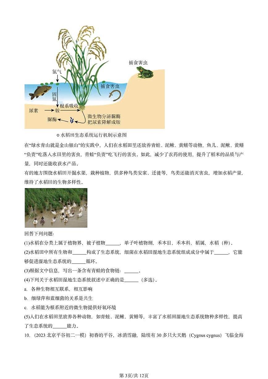 2022-2024北京初二中考一模生物汇编：生物与环境组成生态系统第3页