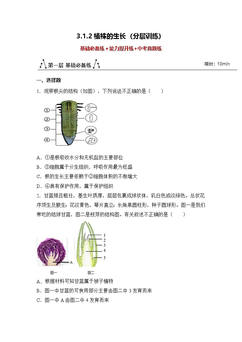 新人教版生物七下 3-1-2《植株的生长》分层作业（原卷版 湖北襄阳试题）第1页