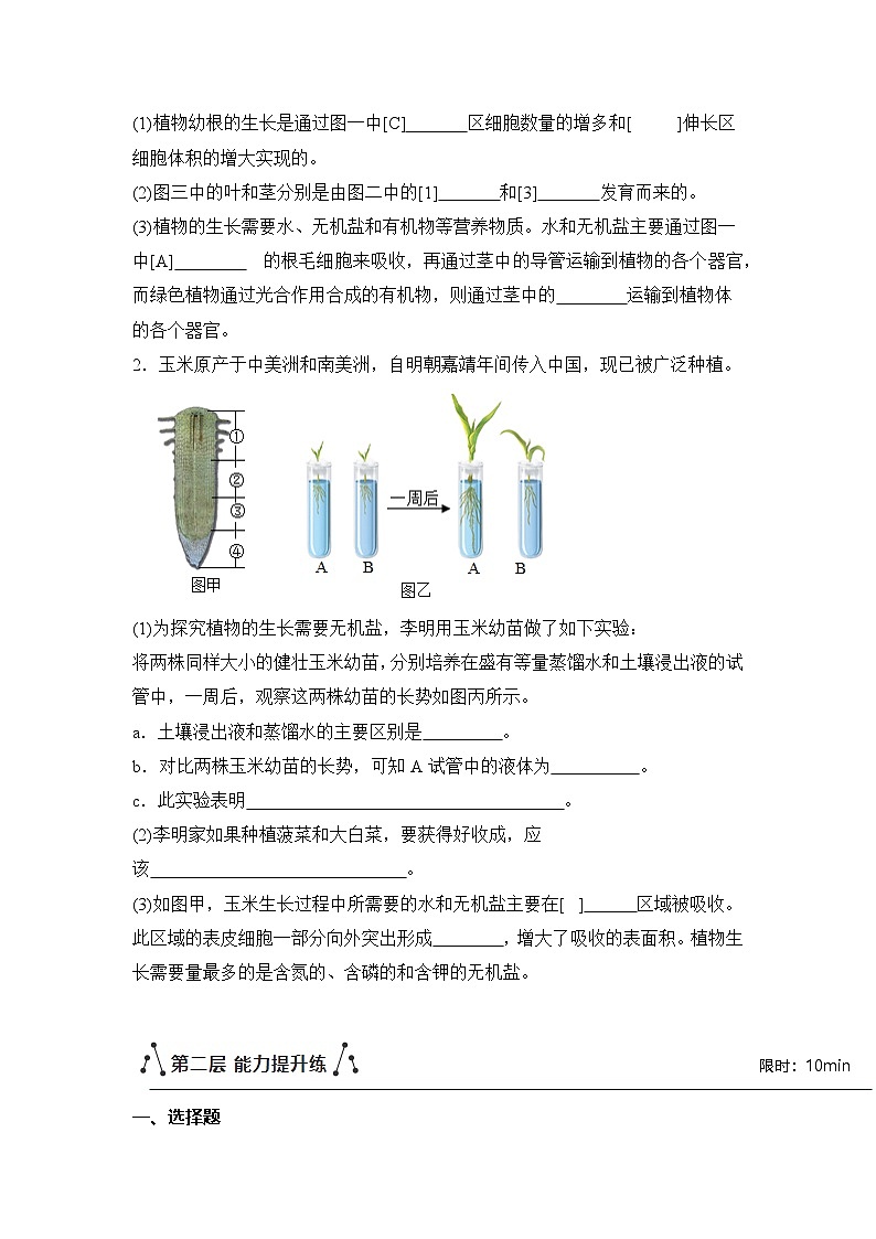 新人教版生物七下 3-1-2《植株的生长》分层作业（原卷版 湖北襄阳试题）第3页