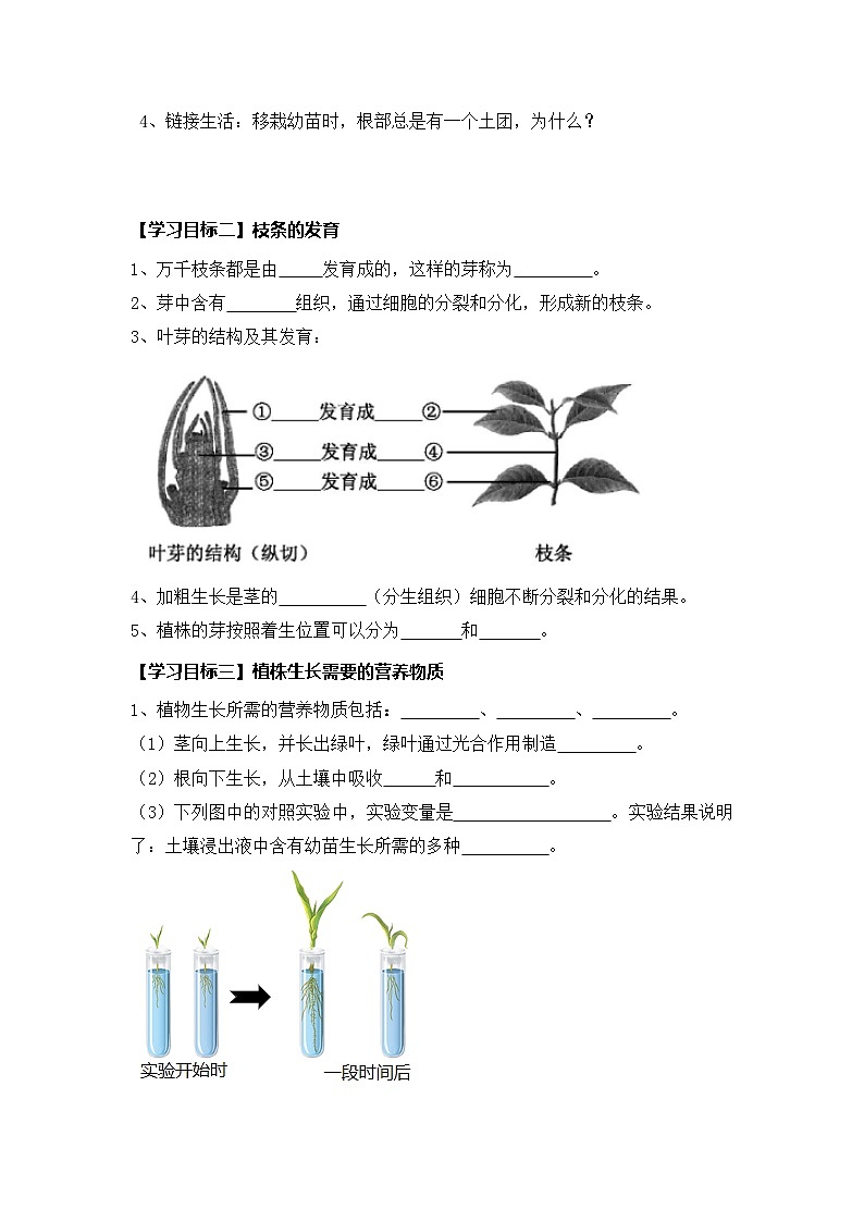 新人教版生物七下 3-1-2《植株的生长》导学案（挖空版）第2页