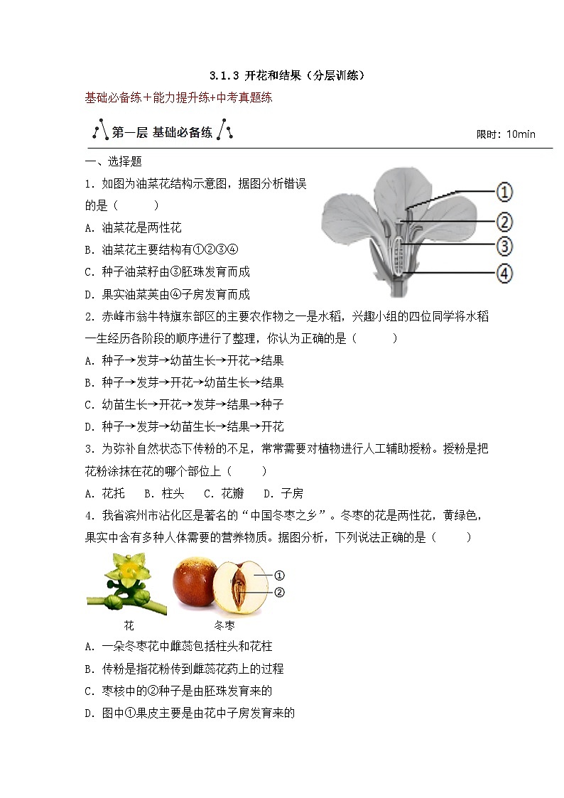 新人教版生物七下 3-1-3《开花和结果》分层作业（原卷版 湖北襄阳试题）第1页