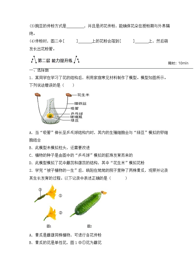 新人教版生物七下 3-1-3《开花和结果》分层作业（原卷版 湖北襄阳试题）第3页