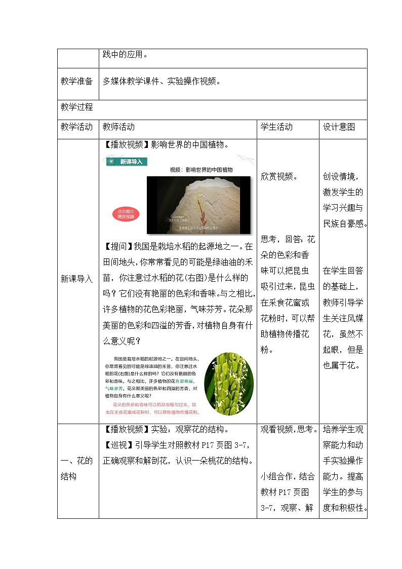 新人教版生物七下 3-1-3《开花和结果》教学设计第2页