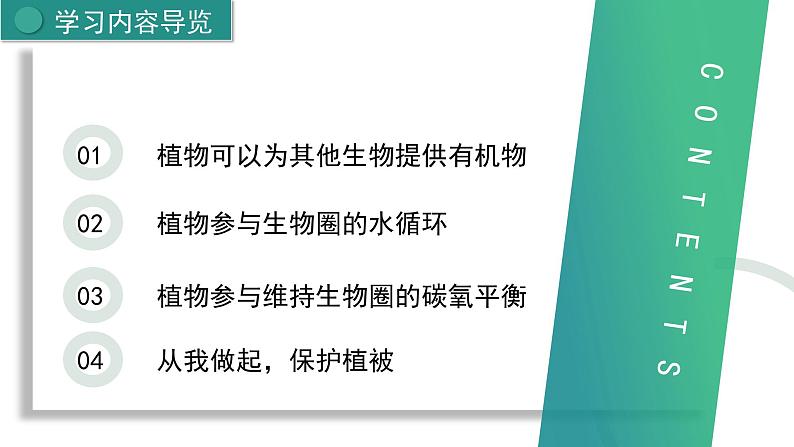 新人教版生物 七下 3-2-4《植物在自然界中的作用》课件第2页