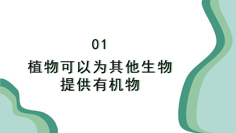 新人教版生物 七下 3-2-4《植物在自然界中的作用》课件第5页