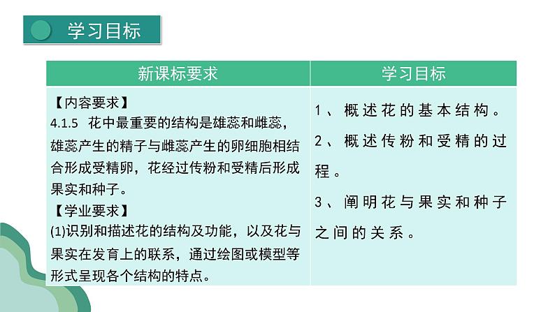 新人教版生物七下 3-1-3《开花和结果》课件第3页