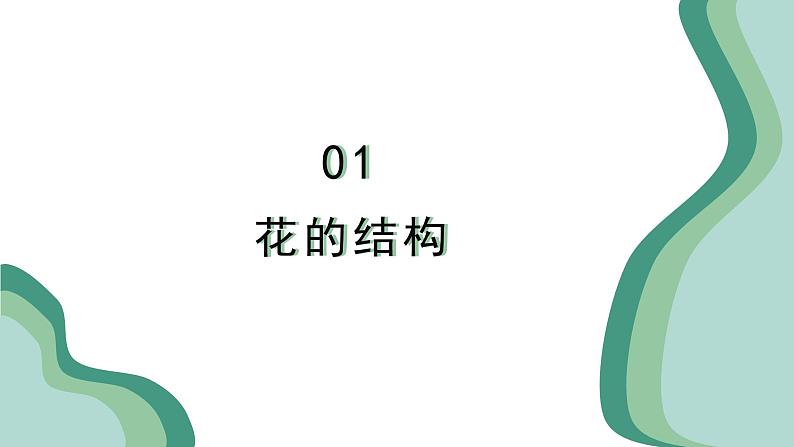 新人教版生物七下 3-1-3《开花和结果》课件第6页