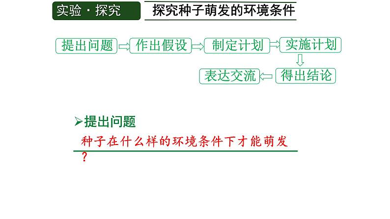 第一节 种子的萌发 课件第4页