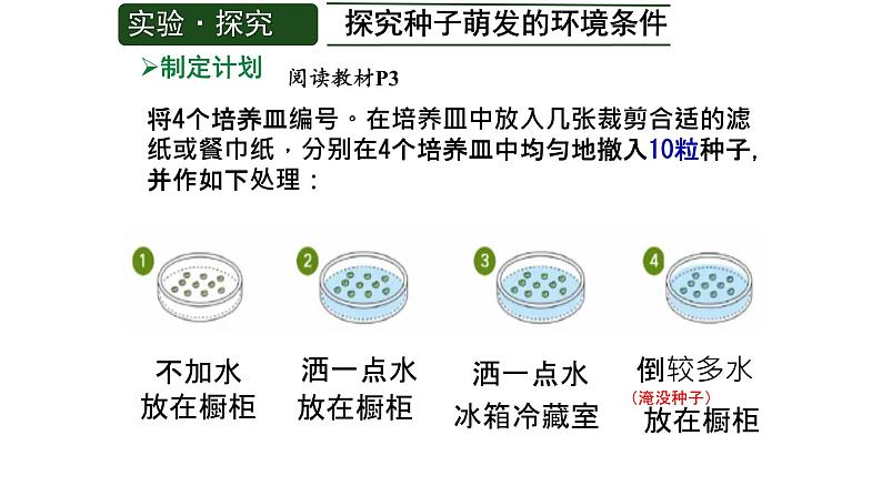 第一节 种子的萌发 课件第6页