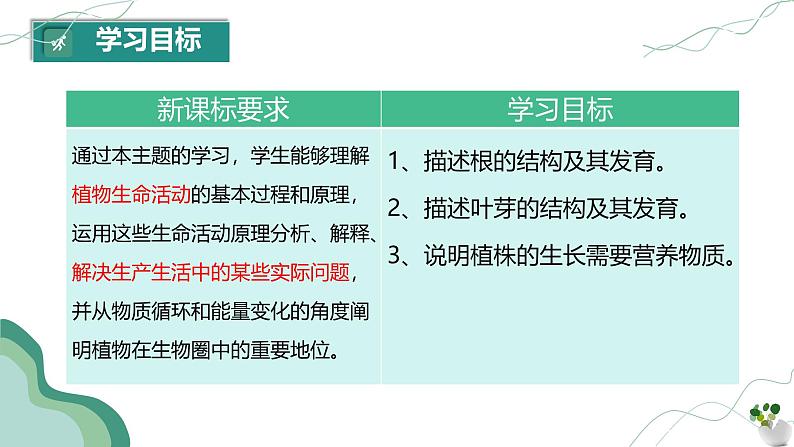 第二节 植株的生长 课件第3页