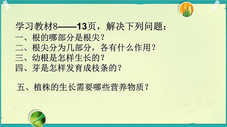 第二节 植株的生长 课件第3页