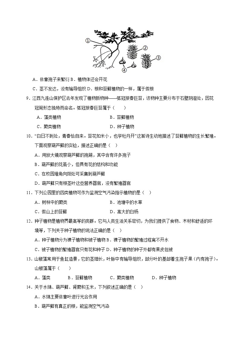 2024-2025学年七年级生物下册第7章《藻类与植物类群》检测卷（苏科版2024新教材）第3页