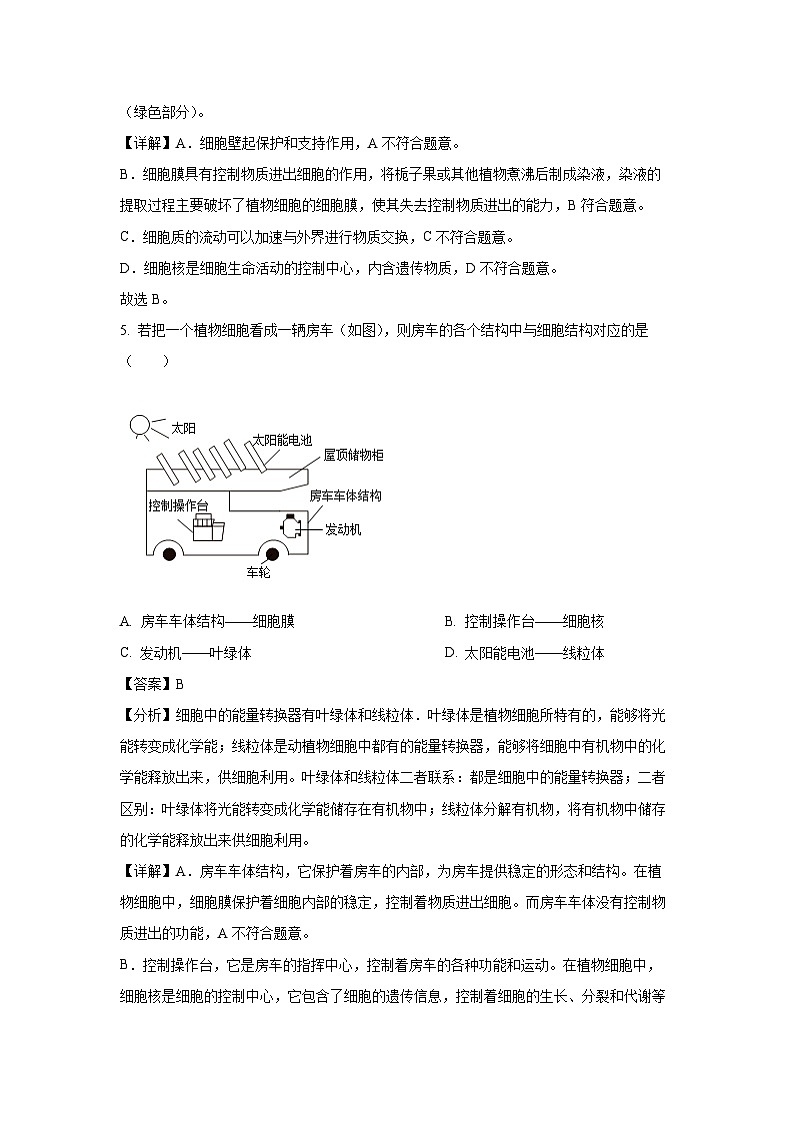 山东省聊城市东昌府区2024-2025学年七年级上12月月考生物试卷（解析版）第3页