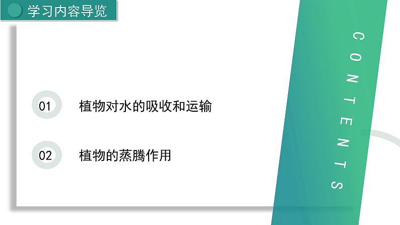 新人教版生物七下 3-2-1《水的利用与散失》课 件第2页