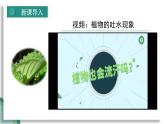 新人教版生物七下 3-2-1《水的利用与散失》课 件