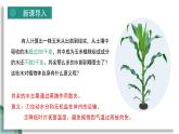 新人教版生物七下 3-2-1《水的利用与散失》课 件