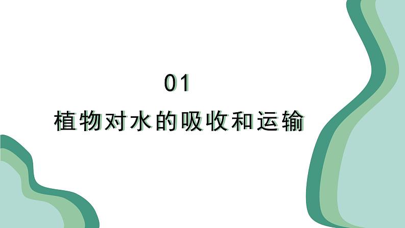 新人教版生物七下 3-2-1《水的利用与散失》课 件第6页