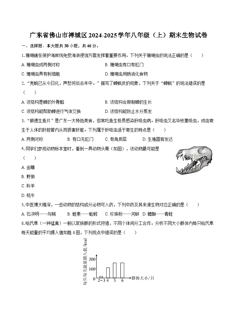 广东省佛山市禅城区2024-2025学年八年级（上）期末生物试卷第1页
