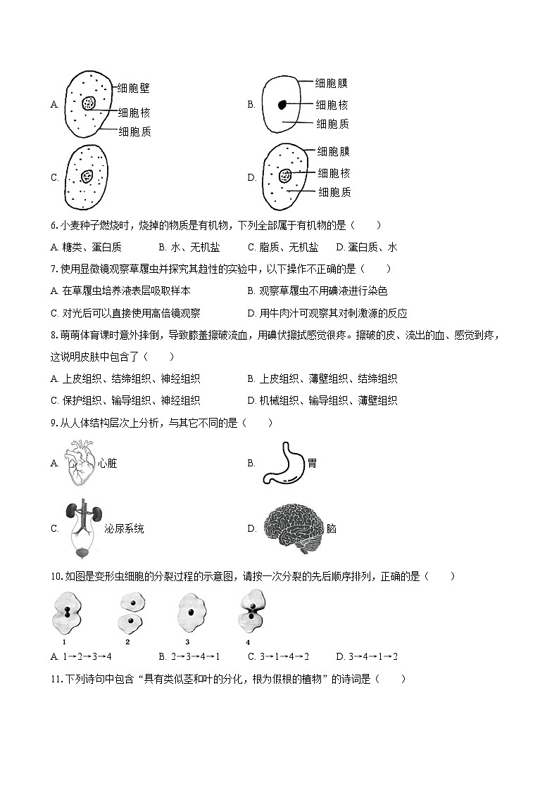吉林省长春市绿园区2024-2025学年七年级（上）期末生物试卷第2页