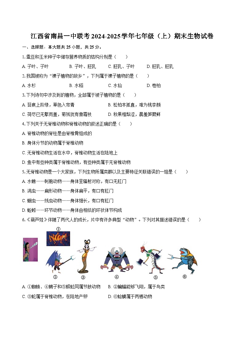 江西省南昌一中联考2024-2025学年七年级（上）期末生物试卷第1页
