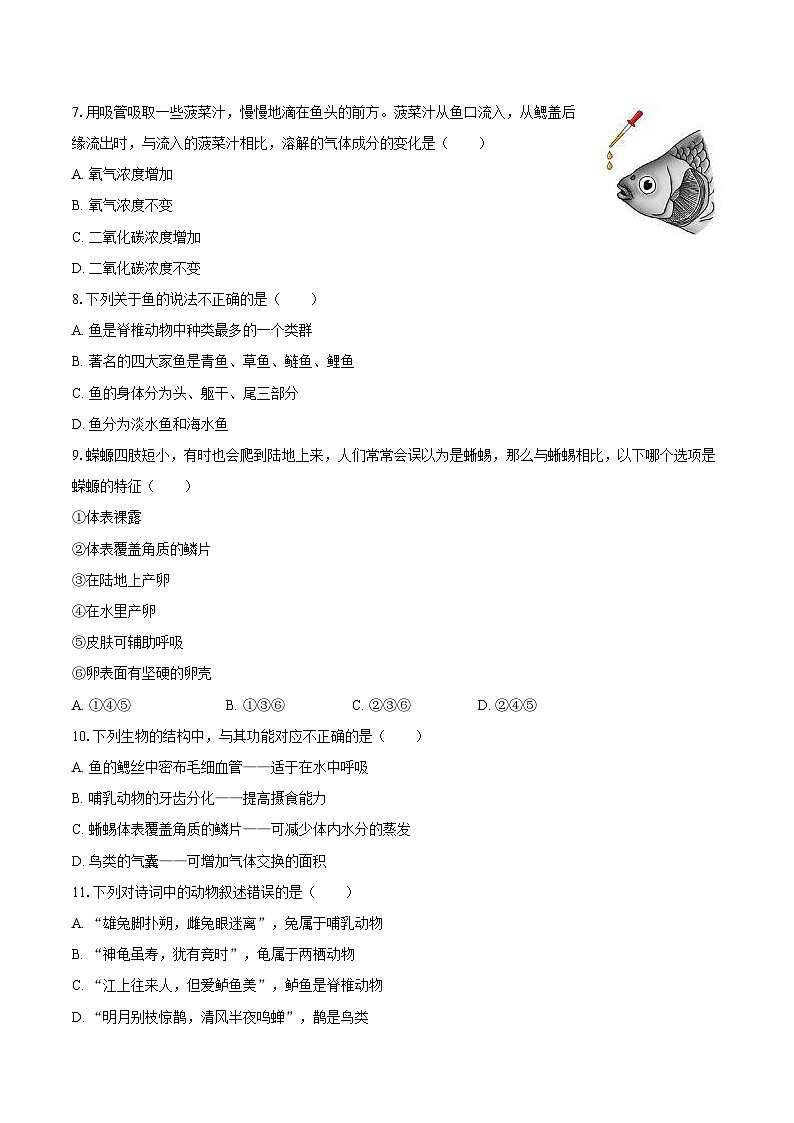 江西省南昌一中联考2024-2025学年七年级（上）期末生物试卷第2页