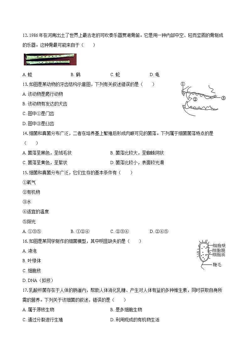江西省南昌一中联考2024-2025学年七年级（上）期末生物试卷第3页