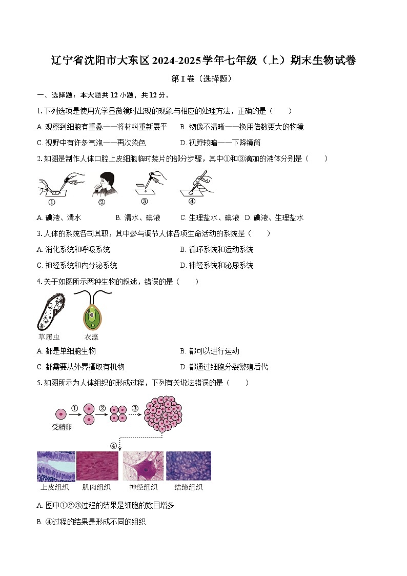 辽宁省沈阳市大东区2024-2025学年七年级（上）期末生物试卷第1页