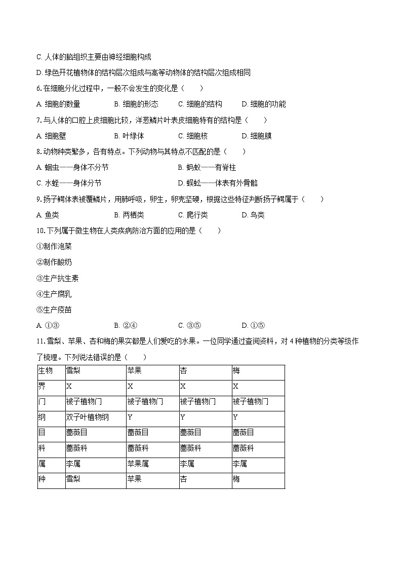 辽宁省沈阳市大东区2024-2025学年七年级（上）期末生物试卷第2页