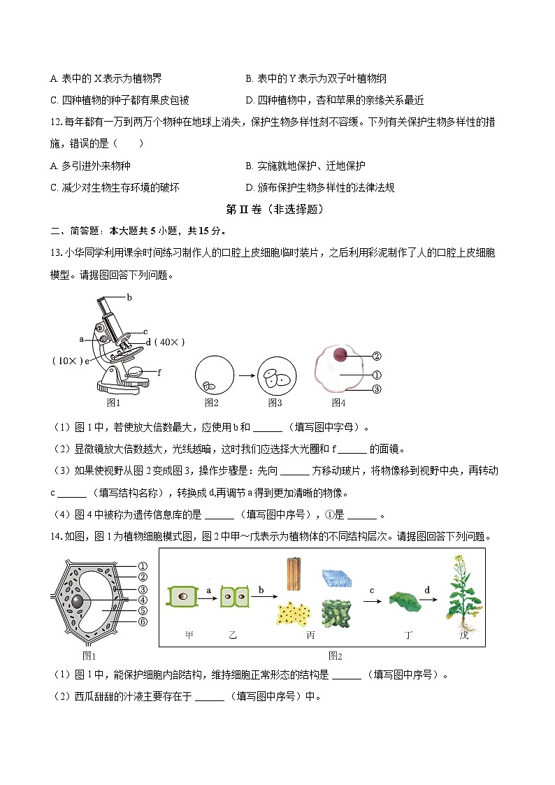 辽宁省沈阳市大东区2024-2025学年七年级（上）期末生物试卷第3页