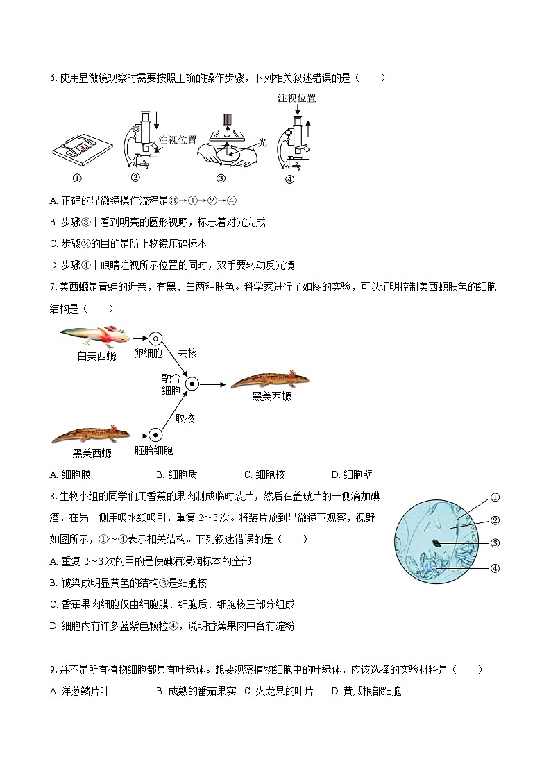 山东省济南市高新区2024-2025学年七年级（上）期末生物试卷第2页