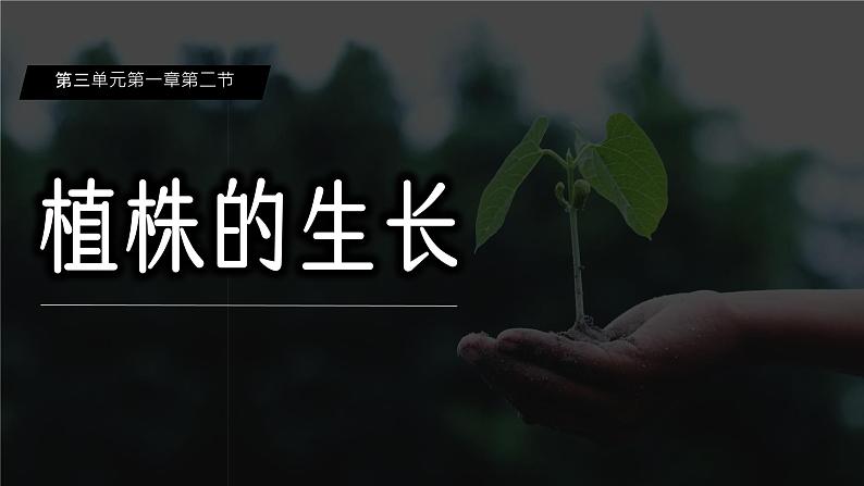 第二节 植株的生长 课件第1页