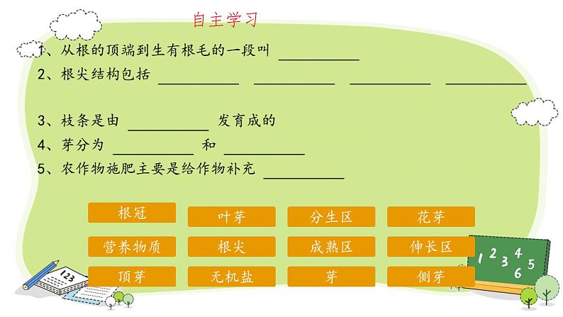 第二节 植株的生长 课件第2页