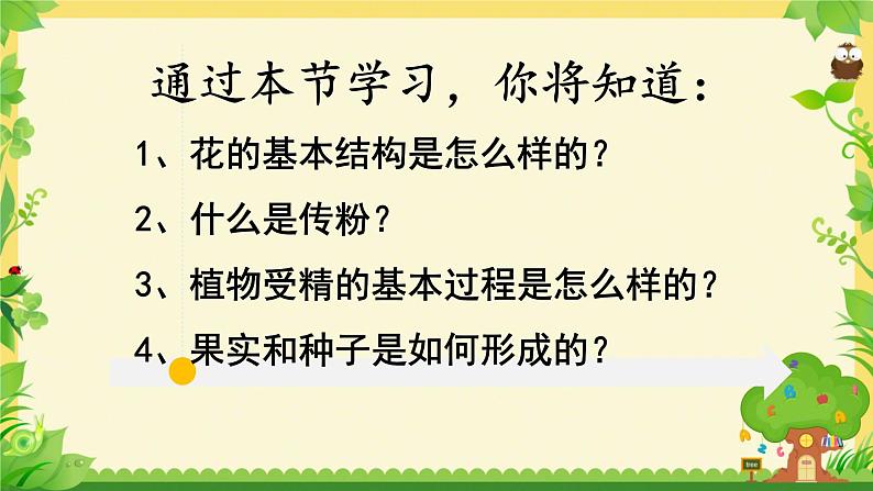 第三节 开花和结果 课件第3页