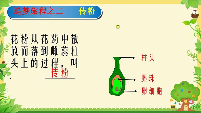 第三节 开花和结果 课件第6页